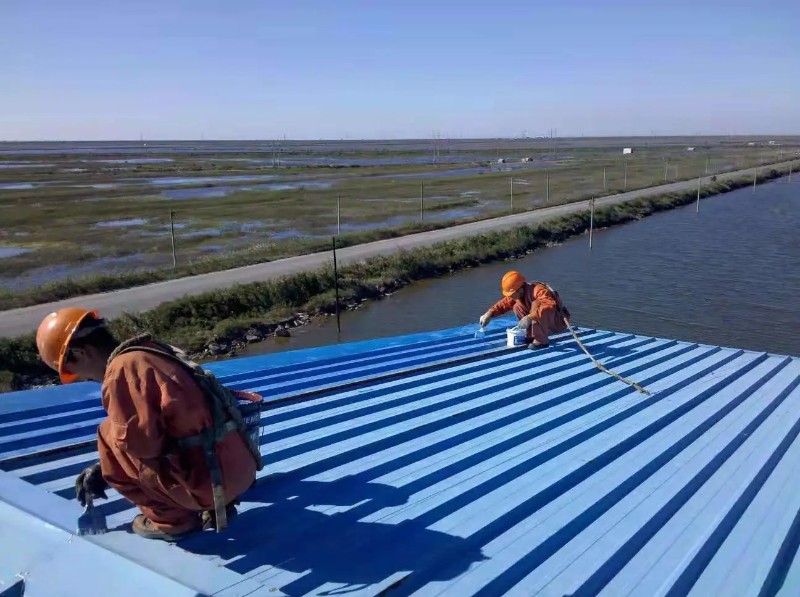 虞城钢结构屋面漏水原因